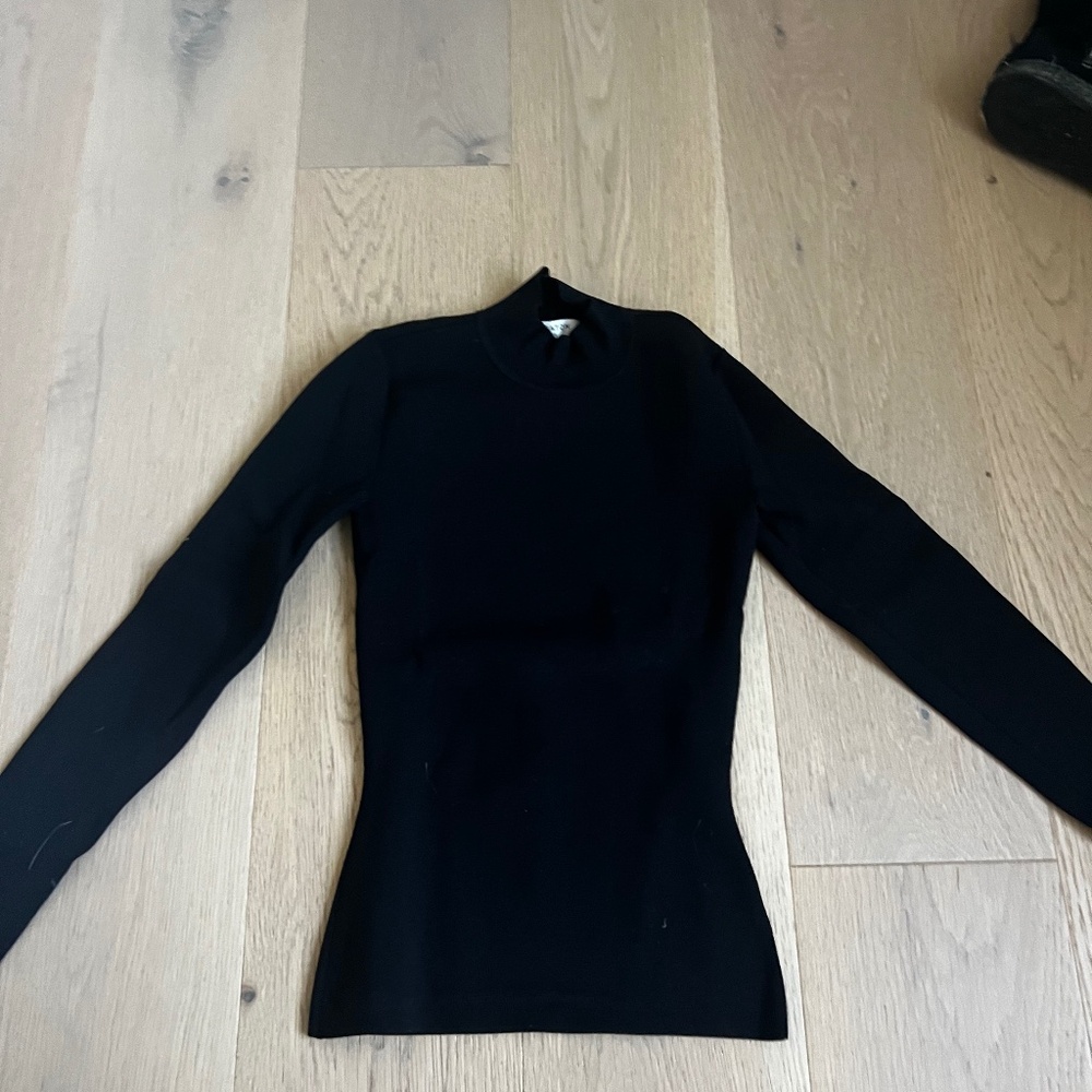 ARITZIA BABATON turtleneck